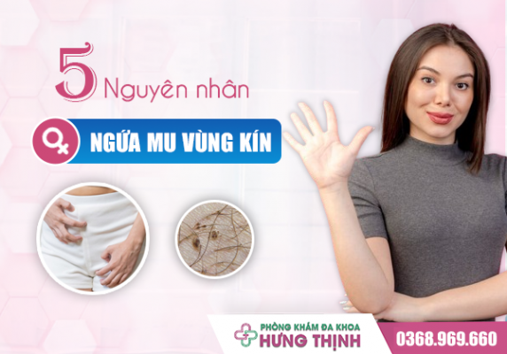 5 Nguyên Nhân Khiến Bạn Bị Ngứa Ở Mu Vùng Kín - Tìm Hiểu Ngay