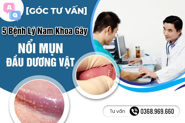 [ Góc Tư Vấn] 5 Bệnh Lý Nam Khoa Gây Nổi Mụn Đầu Dương Vật Có Thể Bạn Chưa Biết