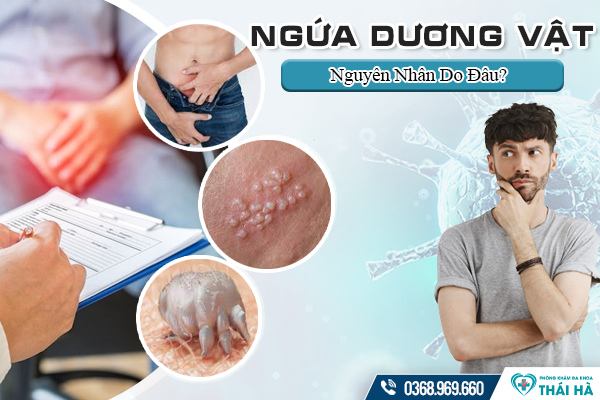 Ngứa Dương Vật Nhiều Ngày Không Dứt, Nguyên Nhân Do Đâu? 